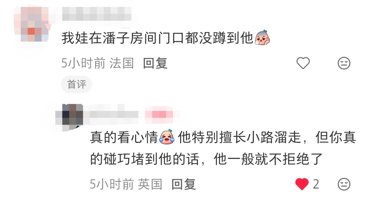 【🦁】行踪非常隐蔽很会小路溜走的咪咪🐈🐾🐾萌之萌之 