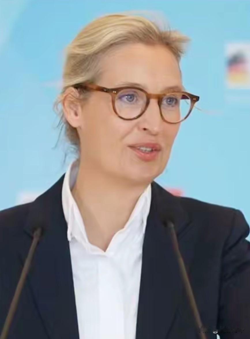 魏德尔声称“德国曾在中国人心中享有极高声望与名誉，现在已经严重受损”，是一句实话