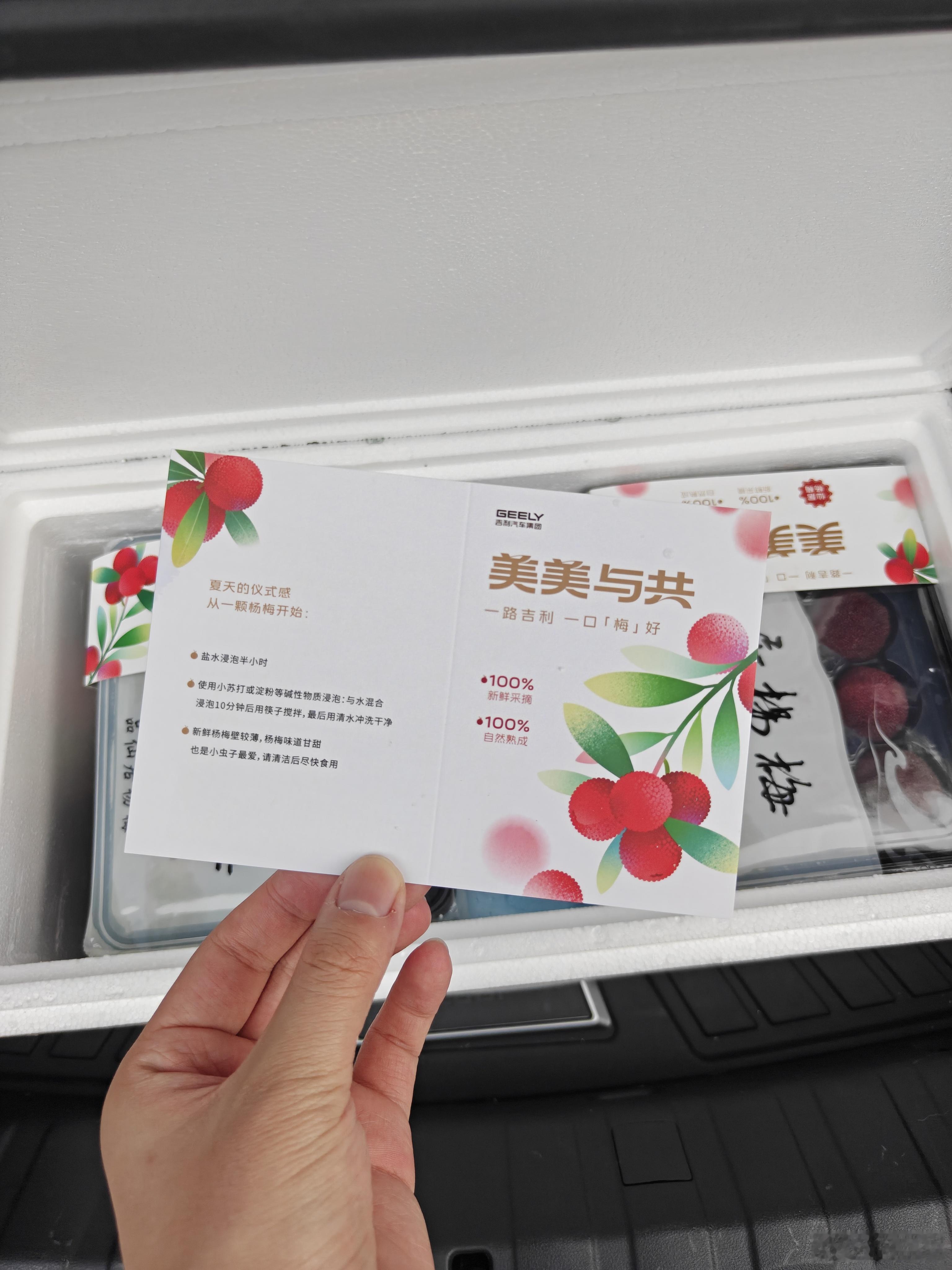 吉利一年一度的台州大杨梅，超大一颗
