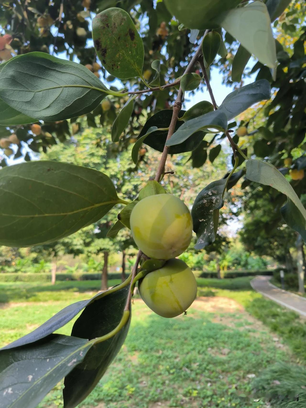 养儿子就活该受累？

参加完同学孩子的婚礼回到家，我们说起来瘦哥的同学郭老师和他