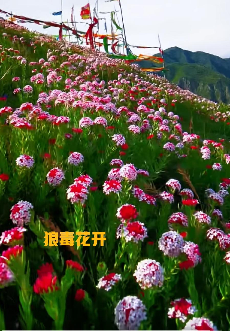 喝酒的最高境界是微醺，尽兴但不失态，抛开应酬算计，只和知己吐露真心，绝不贪杯乱了