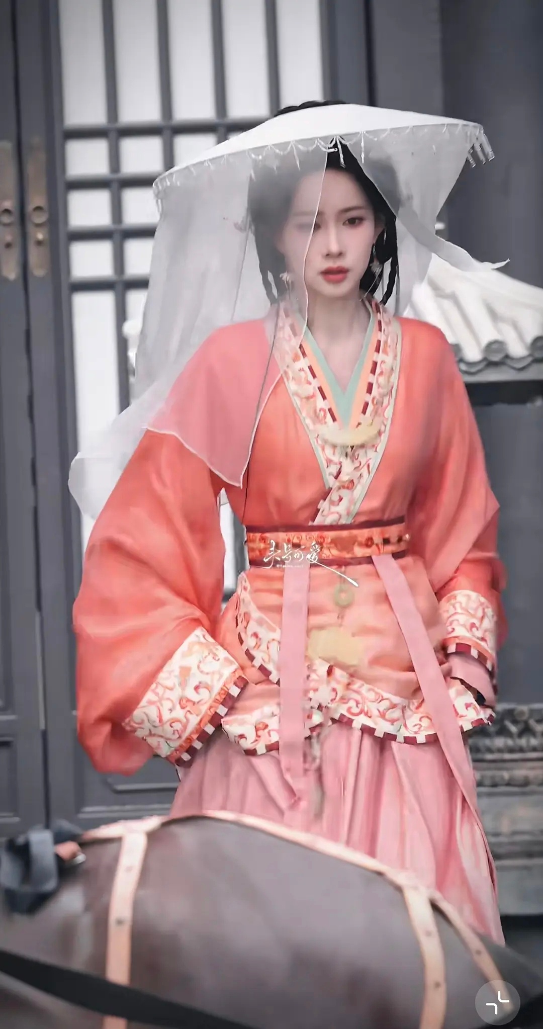 都闹麻了，只有窝孟的前途亮的我晃眼。 