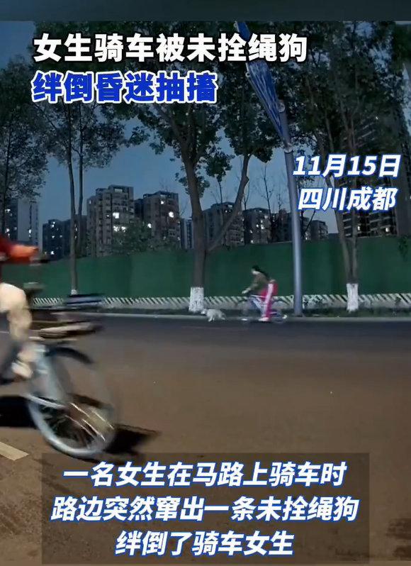 成都新都区东骏湖景湾附近，有个女生正骑着车赶路，没成想路边突然冲出来一只没拴绳的