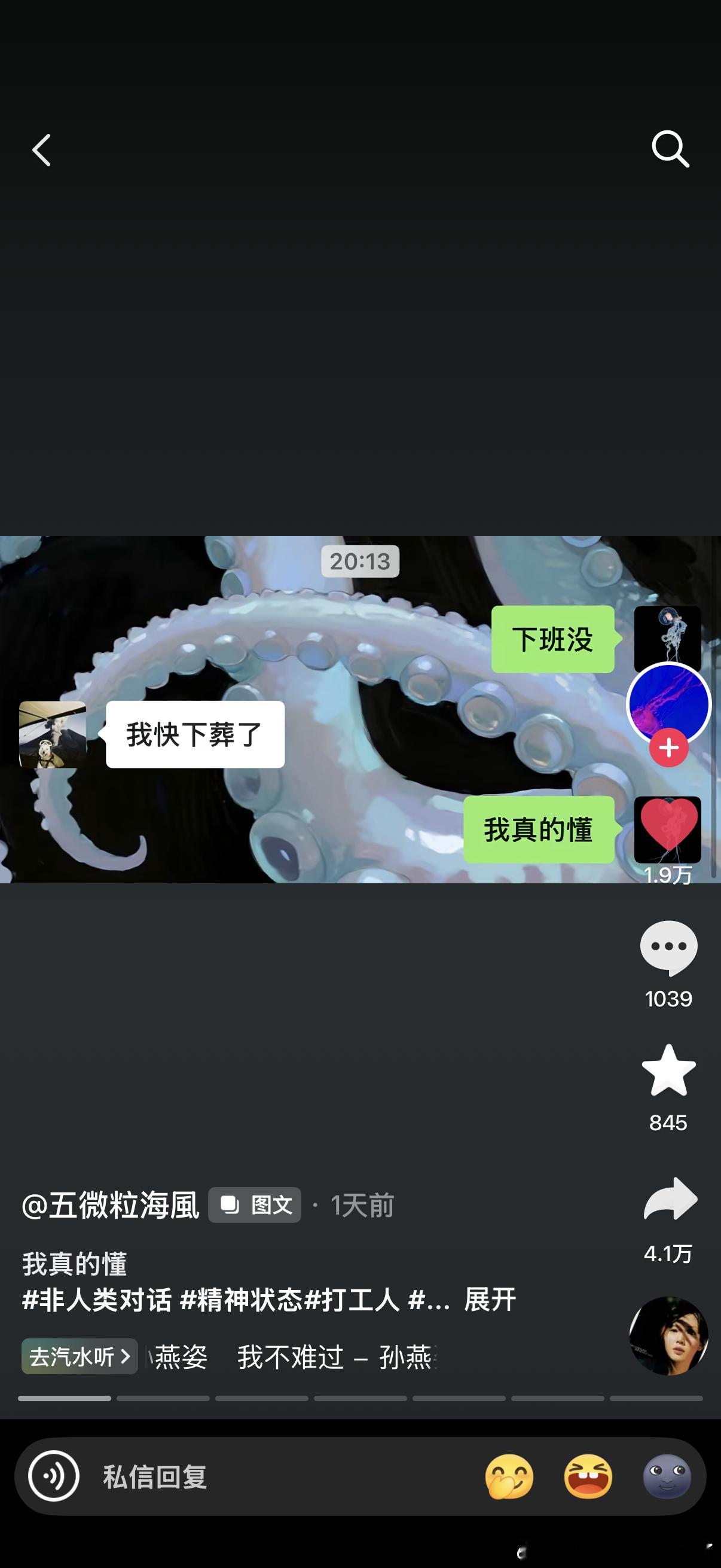 我真的懂 