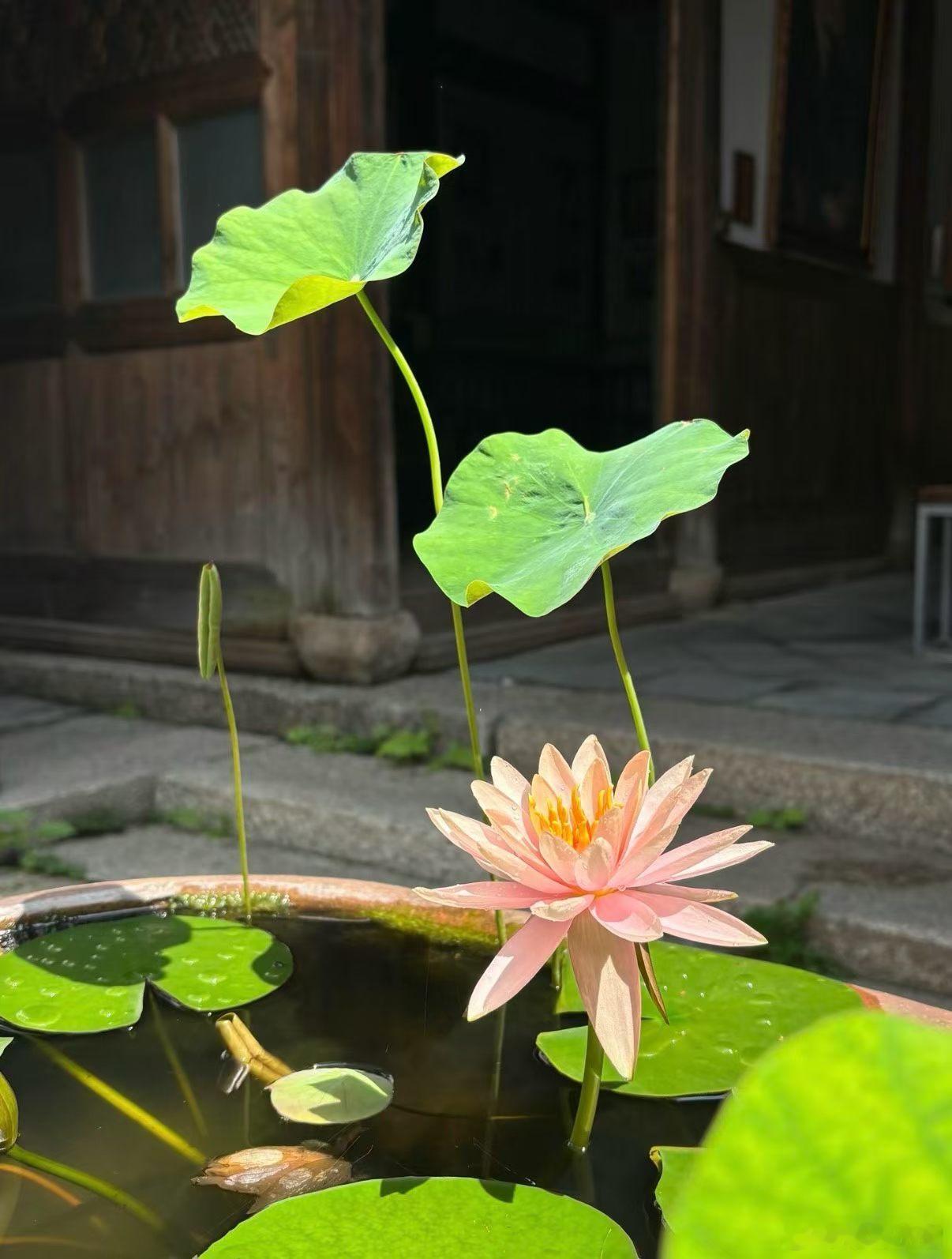 佛教  师父说：生活是很公平的，在哪里付出，就在哪里得到回报，在哪里打磨，就在哪