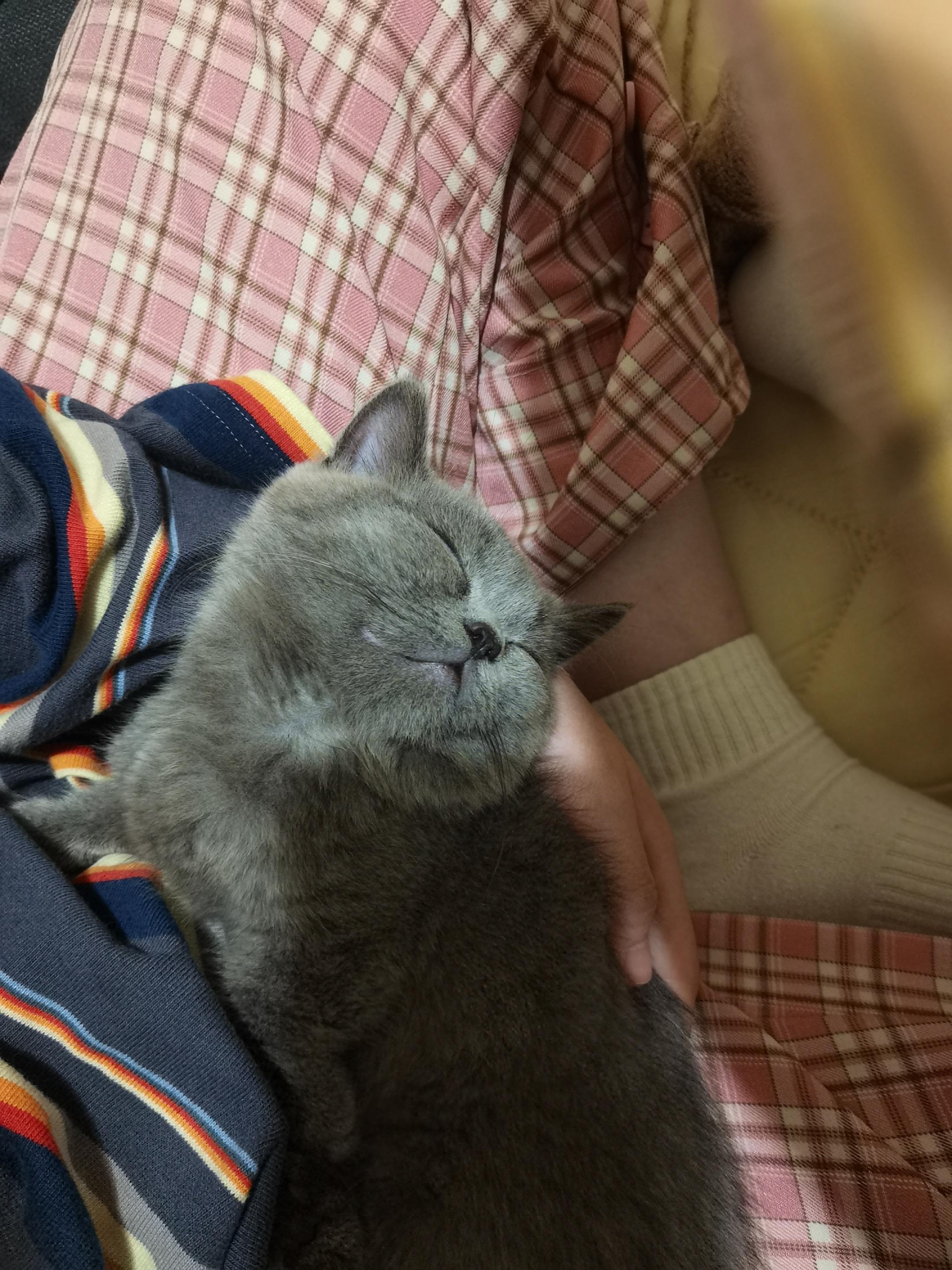 💕😺。我闭上眼睛 贴着你心跳呼吸