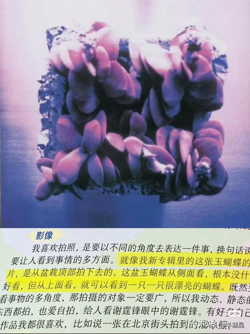 [彩虹]总有人不相信一个人的心能玲珑剔透到愿意为了一盆盆栽写一首传世名曲，但没办