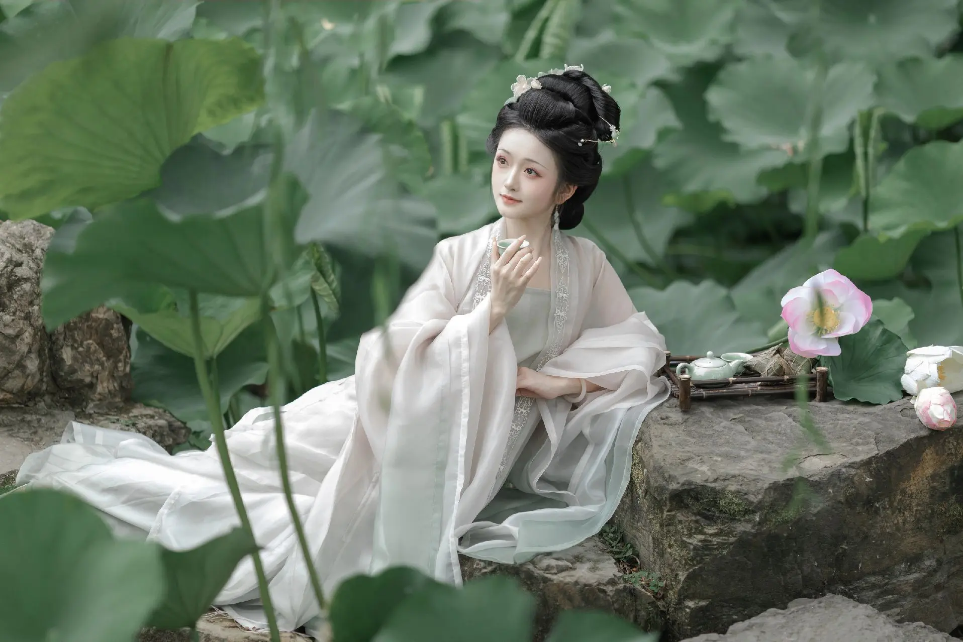 误入藕花深处～