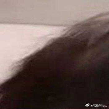 2000陈思罕每日一善 每一个清晨苏醒，记得告诉自己：没有奇迹，只有你努力的轨迹