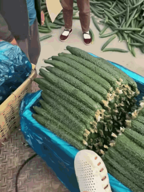 这年头是怎么了？大家都知道“杨梅泡药”之后，不但杨梅滞销没人买了，而且鲜亮欲滴的