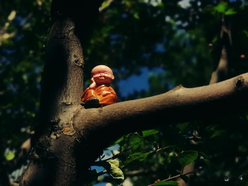 心无尘埃，自在清欢

尘世漫漫，岁月浮沉，我们总在烟火人间里追逐、求索，被执念裹