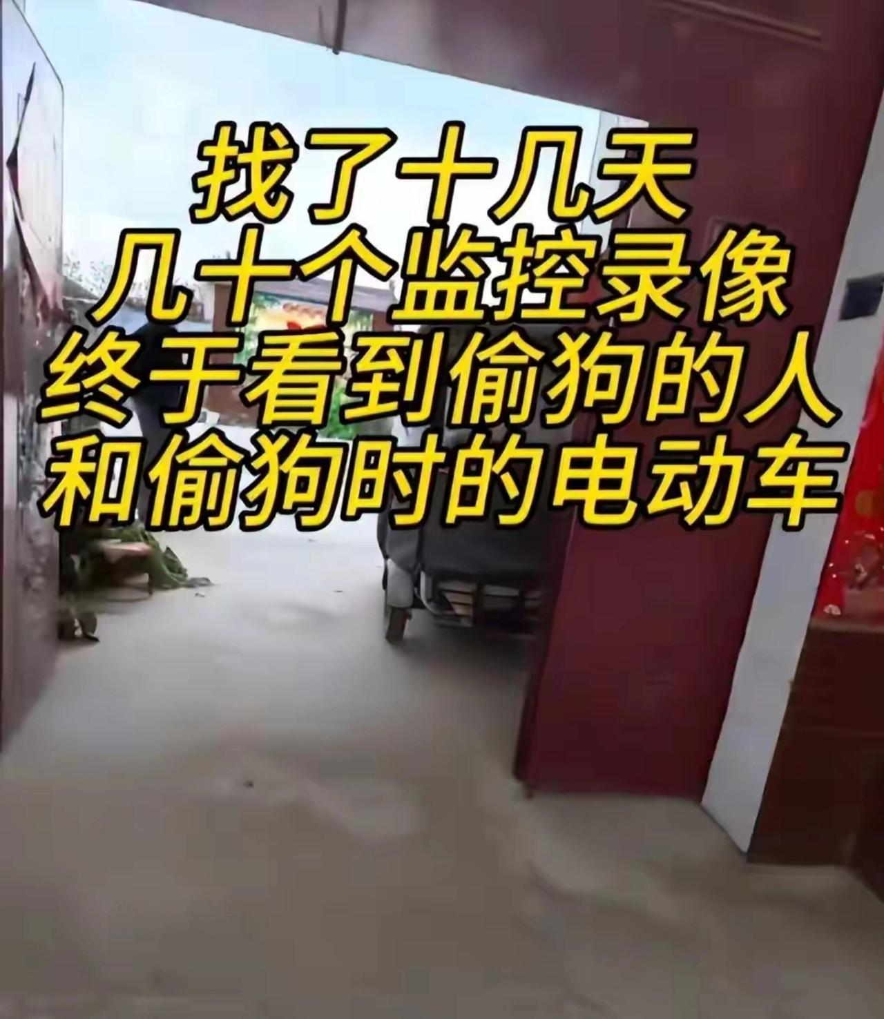 瘦猴这趟回国，真是被现实狠狠扇了一脸。本来想着跨境手续太麻烦，把边牧锄头暂时搁河