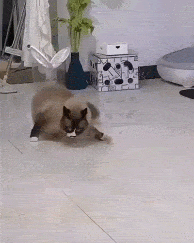 这个走路姿势 ​​​