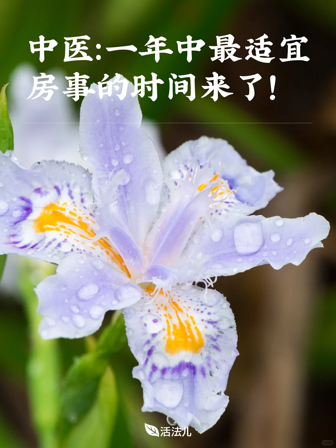 中医：一年中最适宜房事的时间来了！