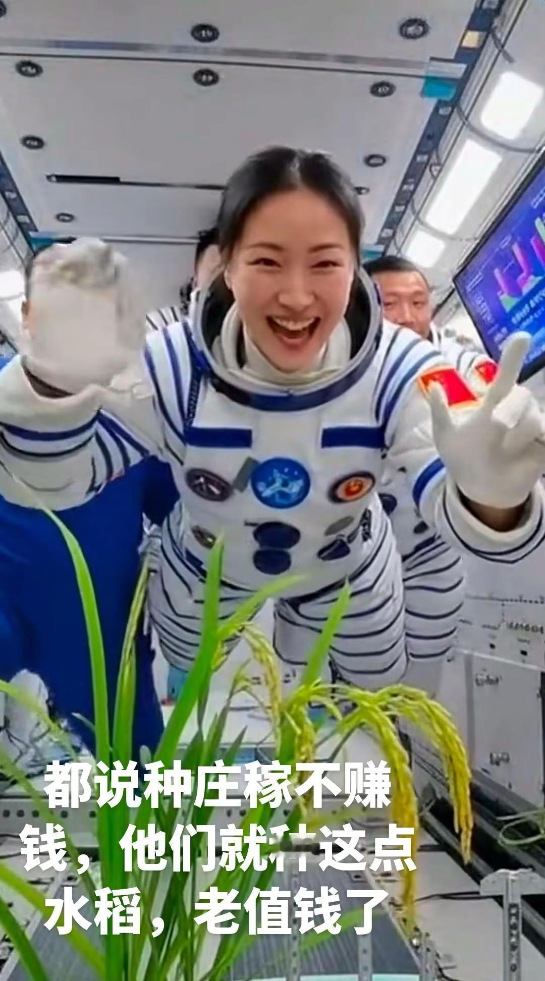 都说种东西不赚钱，这点水稻老值钱了，你给钱人家都不卖给你😄