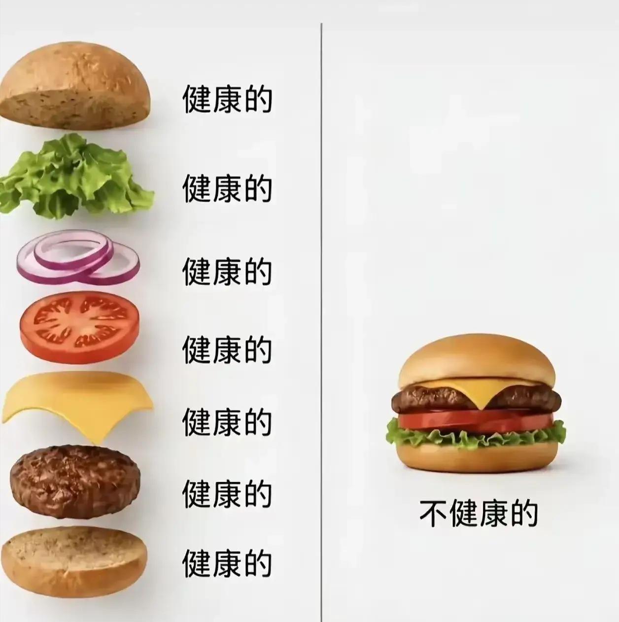 为什么？为什么？？？
你看这张图是不是特别有意思，拆开每一样食材，面包、蔬菜、肉