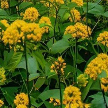 若以人情世故来看食材的相逢，有的是让人叫绝的天作之和；有的是叫人动容的邂逅偶遇；