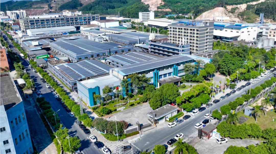 牛逼啦，全球市场200万棵圣诞树背后藏着"清远配方" ！很多人不了解清远企业，但