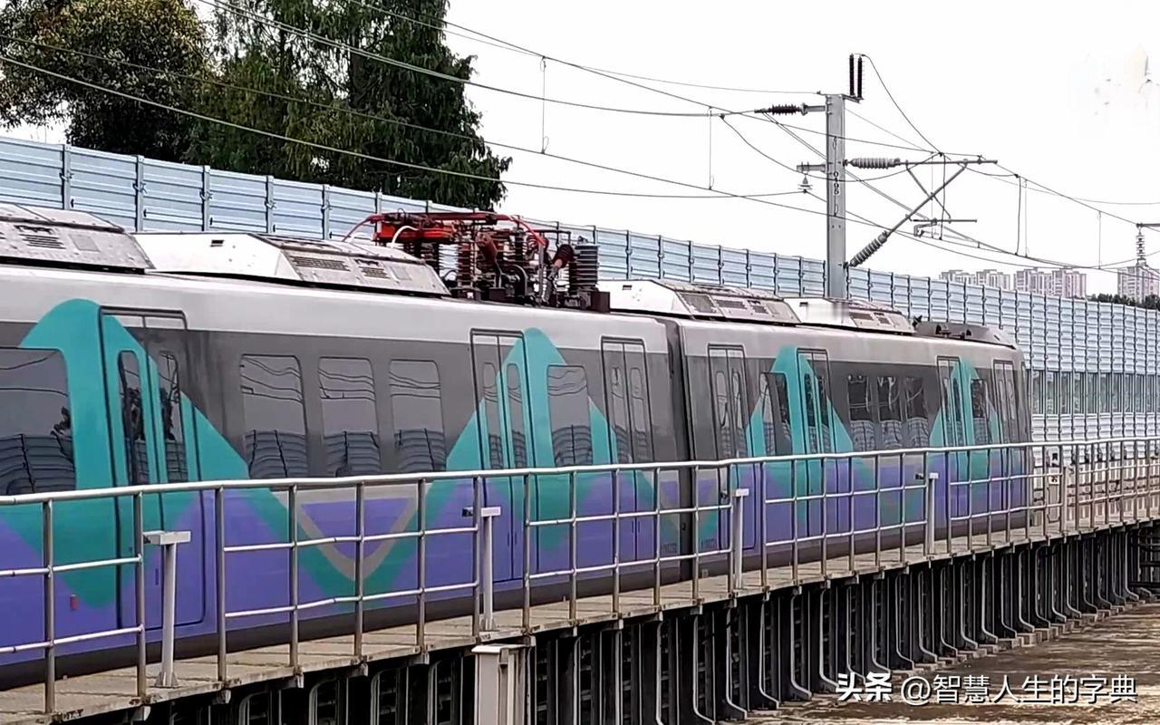 成都19号线北延接郫都连都江堰可行么？这是不少人的疑问。
 
成都西部片区温江、