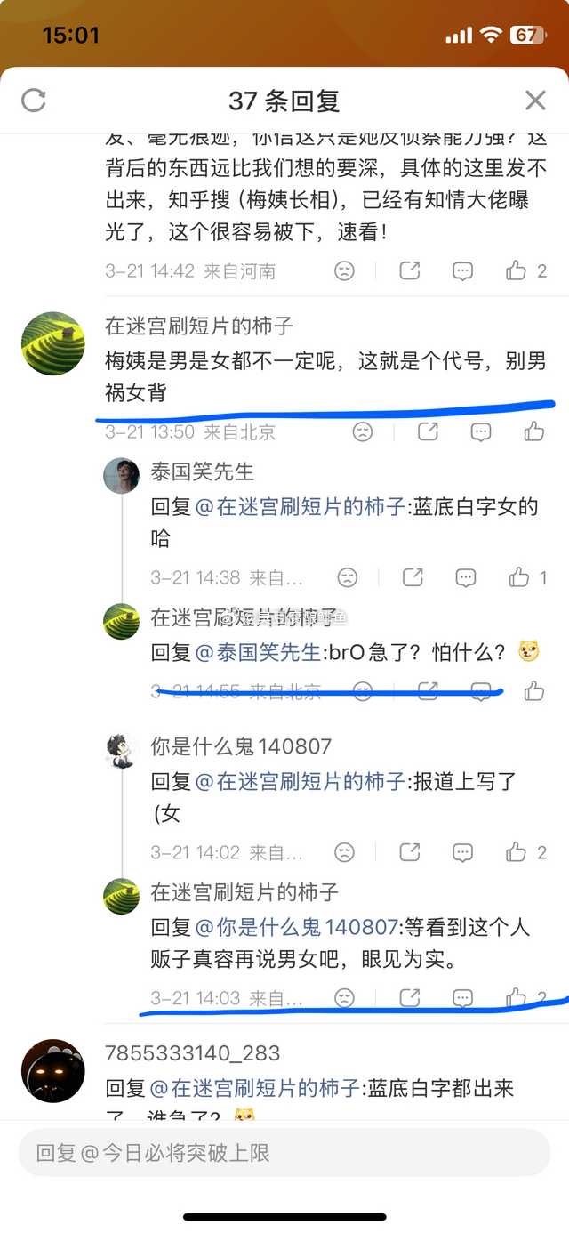 梅姨被逮捕成分过于真实 