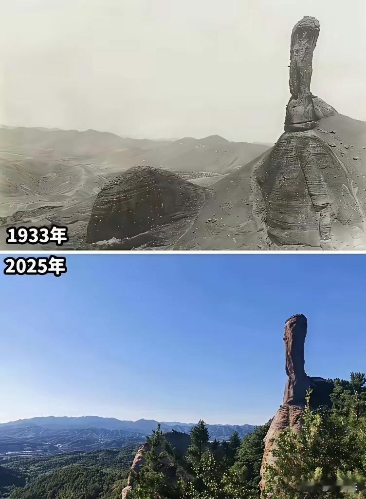 为什么以前山顶都是光秃秃的，现在一片绿意盎然？
  我们八零前后的小地方人应该都