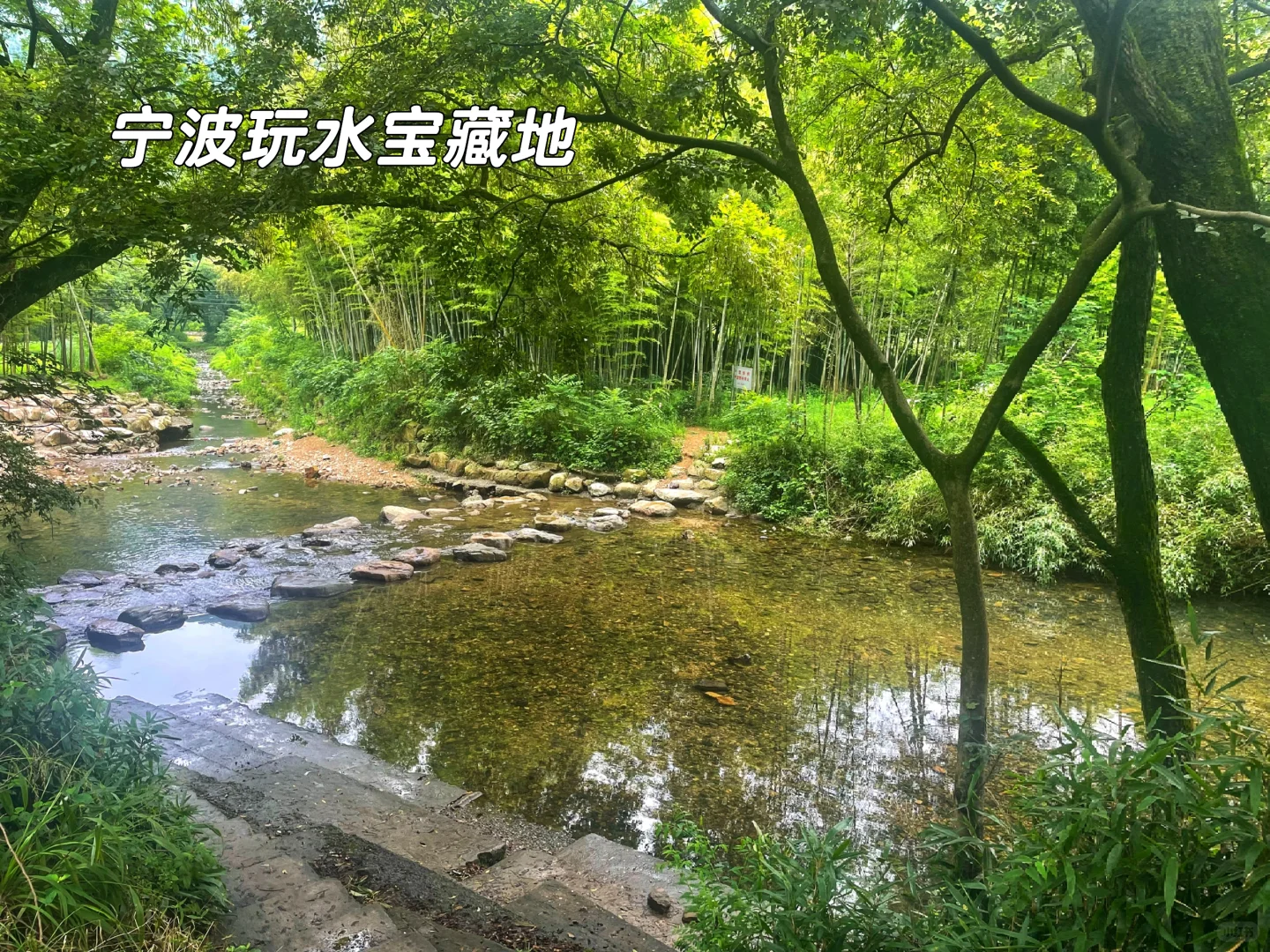 宁波玩水有树阴的 避暑宝藏地来了汽车直达