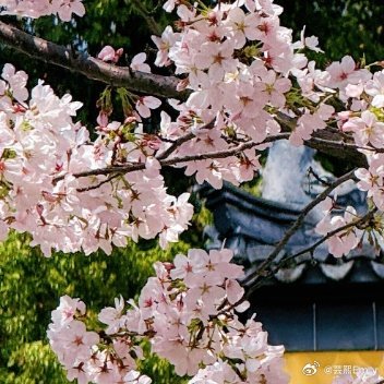 每日一善你好FordV宝格丽 怎能忘记把你写在蒂芙尼心里想兰博基尼还有施华洛世奇