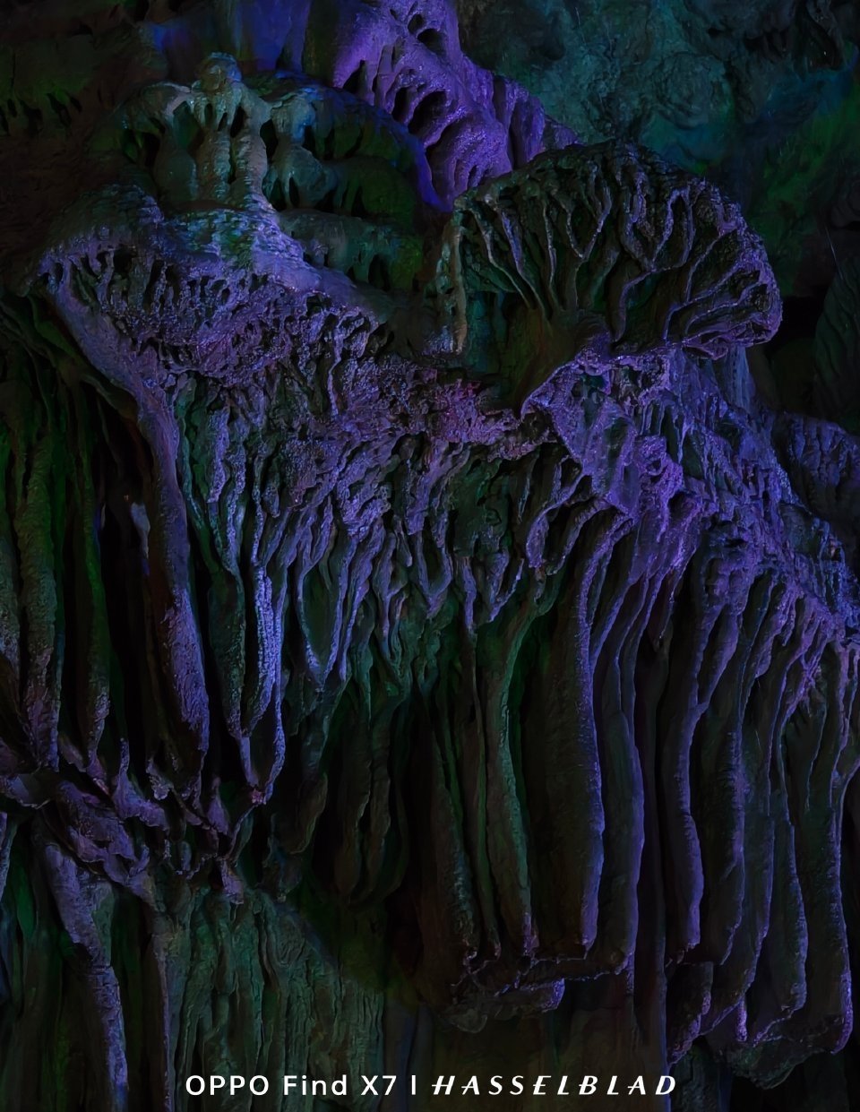 MediaTek「越极境，见芯境」天玑影像展，这次带的是 OPPO Find X