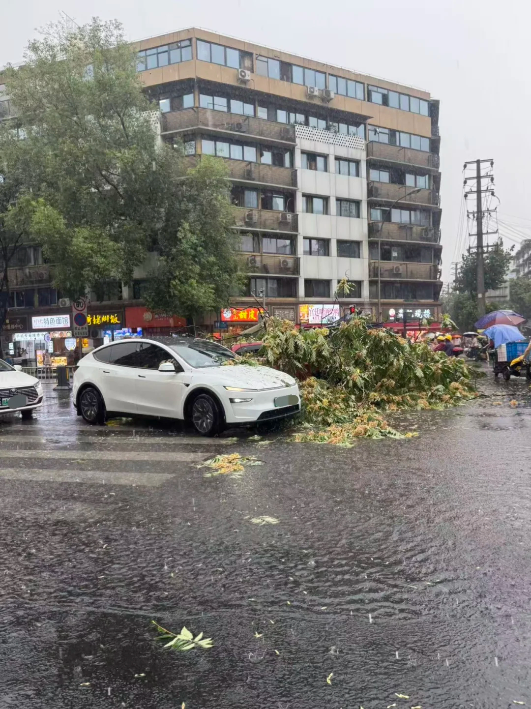 昨晚的雨还是挺大。成都暴雨成都暴雨都下到哪些地方