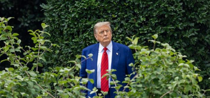 特朗普和他昔日“得力干将”玛乔丽·泰勒·格林决裂这事，真是让人跌破眼镜。格林曾是