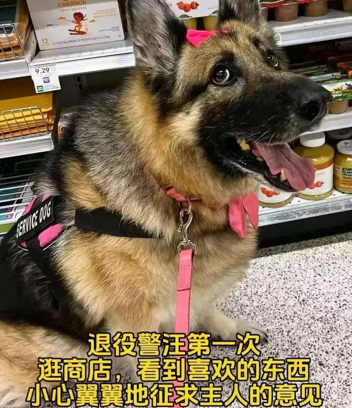 退役警汪