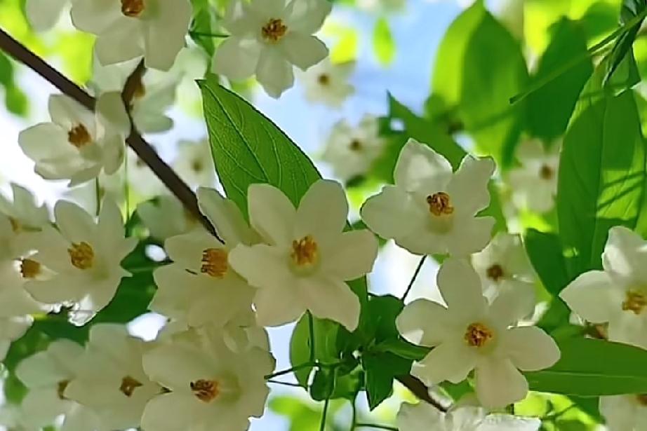 你为什么喜欢他（她）吗？有人可能自己也不知道？

大概就是以下的原因吧？

一眼