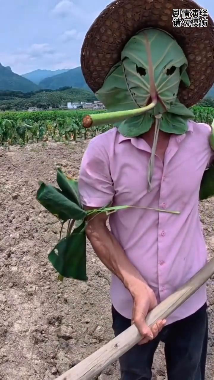 男子上地里干活，用大树叶裹着脸，这一幕真的太有才了。
男子来到地里干农活，这时他