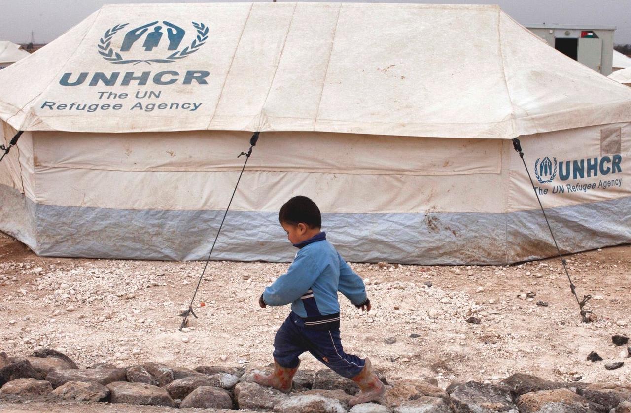 🕊️ 天主教世界移民与难民日
每年，天主教会都会关注数百万被迫离开家园，寻找保