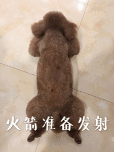 #每天一条冷知识# 火箭是一个很复杂的系统工程，它的可靠性只能做到98%左右，也