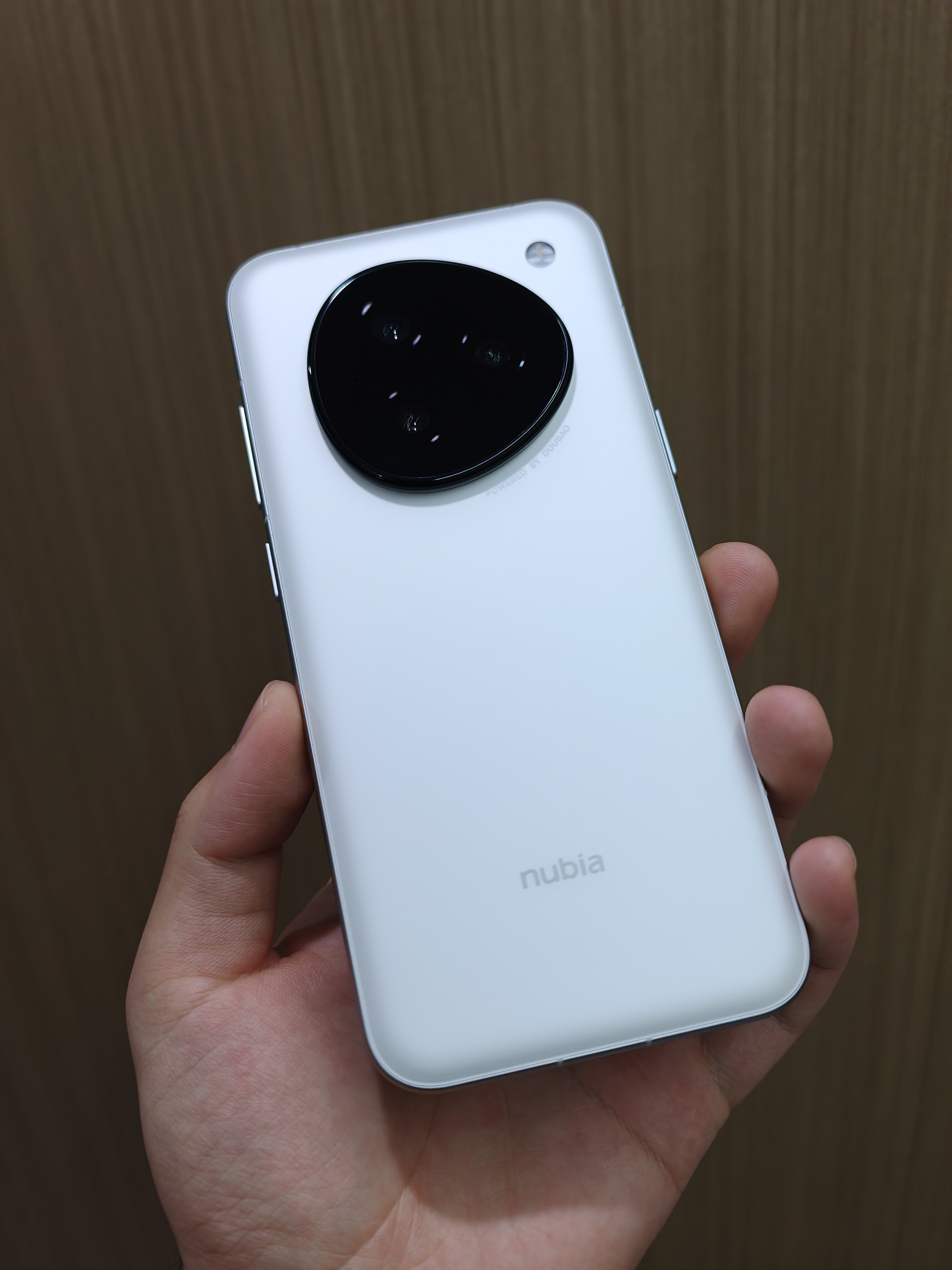 理论上豆包完全可以效仿鸿蒙智行呀，联合手机厂商，把自己的系统推行开来……不过仅限