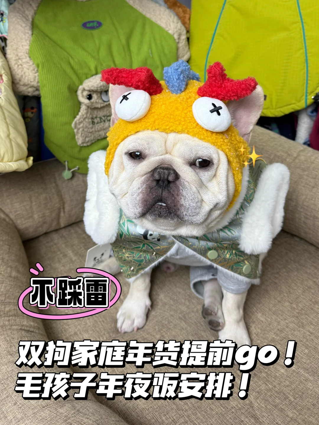 双狗家庭年货提前go！毛孩子年夜饭安排！