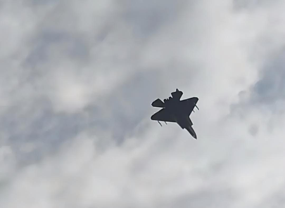 图中歼-35采用的是隐身战机的野兽模式，也叫非隐身外挂构型。
野兽模式在特定场景