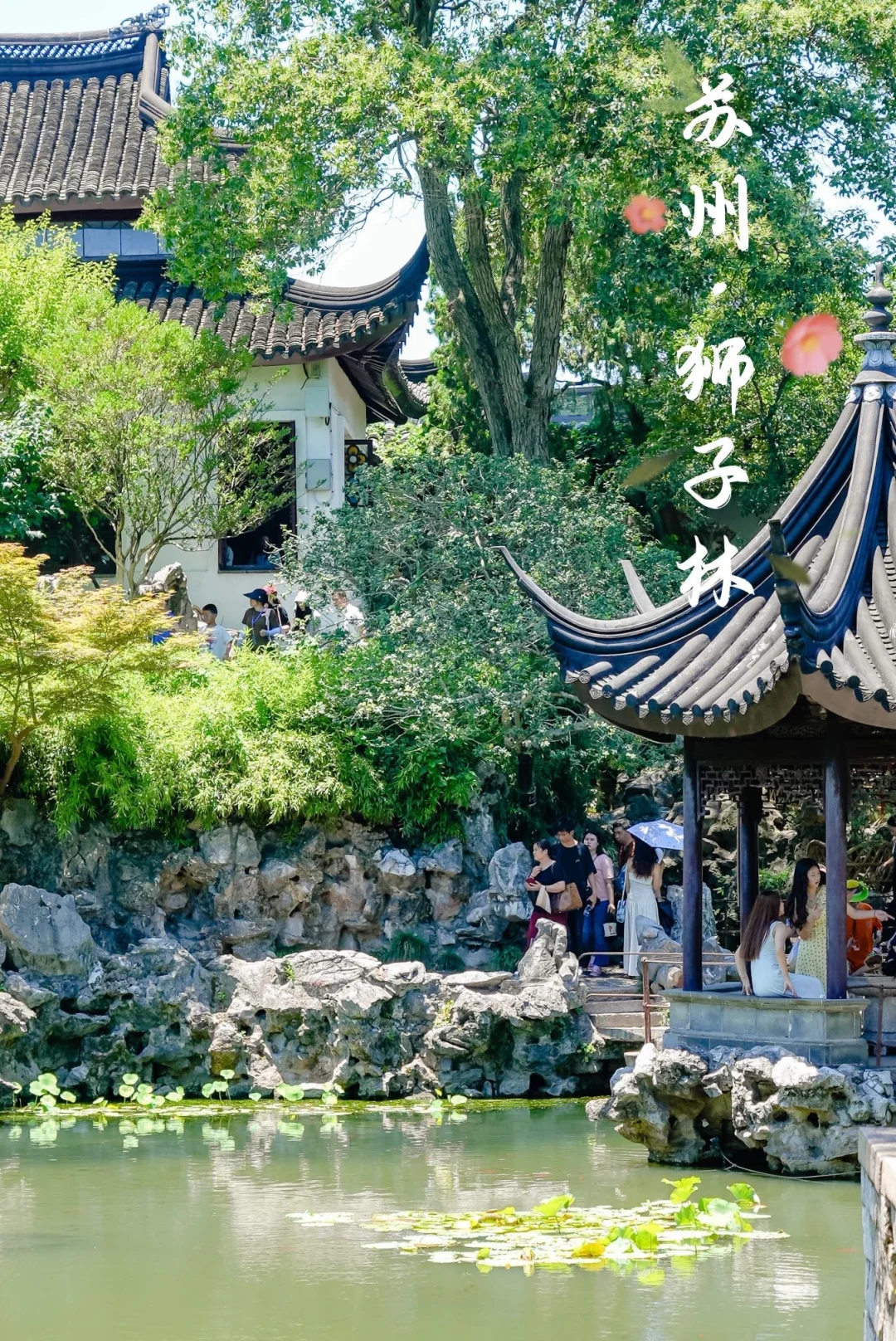 听劝！来苏州旅游，别错过乾隆最爱的狮子林
