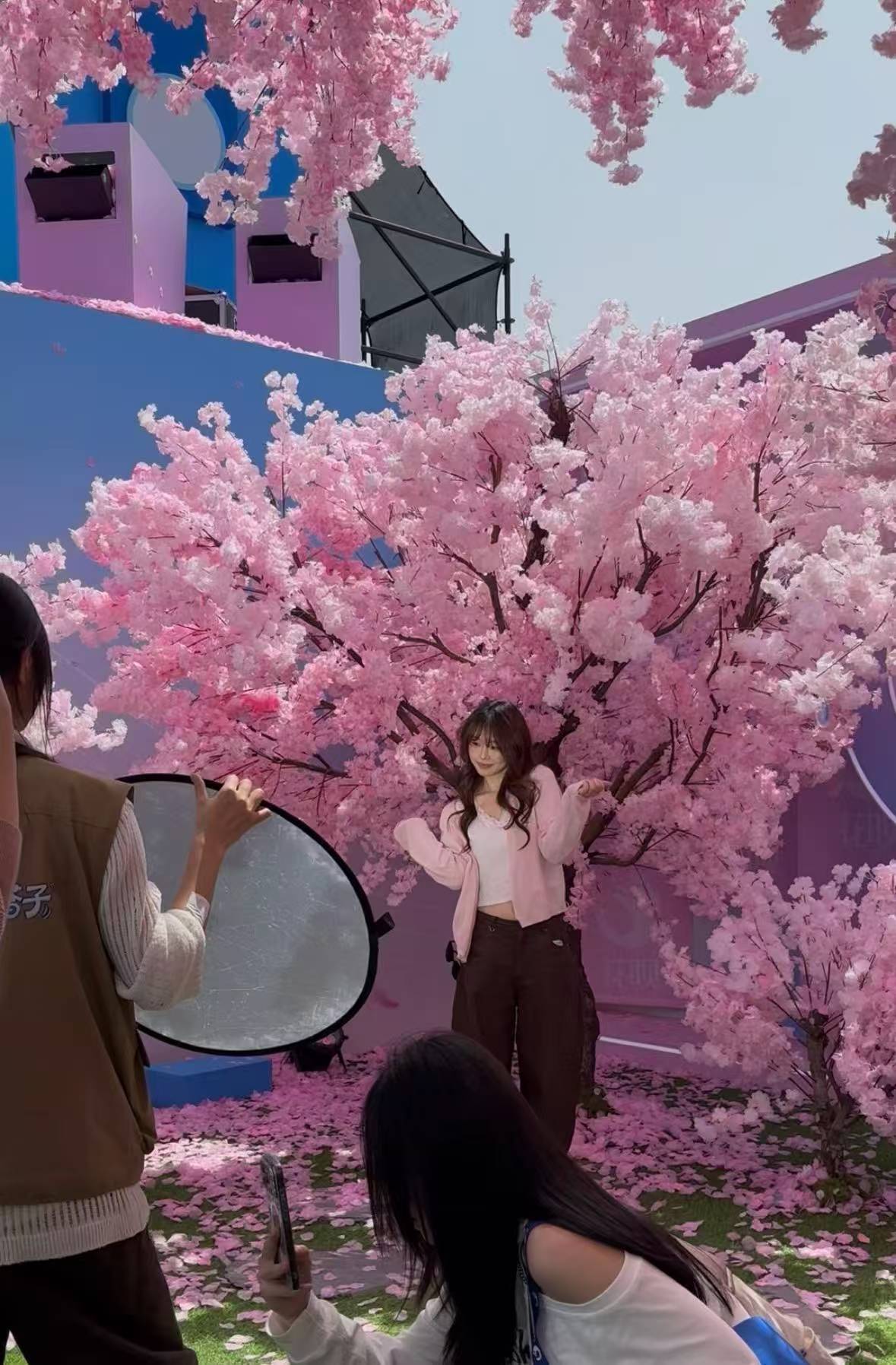 武汉音乐节现场服务给到夯武汉的春天还是太超前了！在花瓣雨里听歌真的好幸福...而