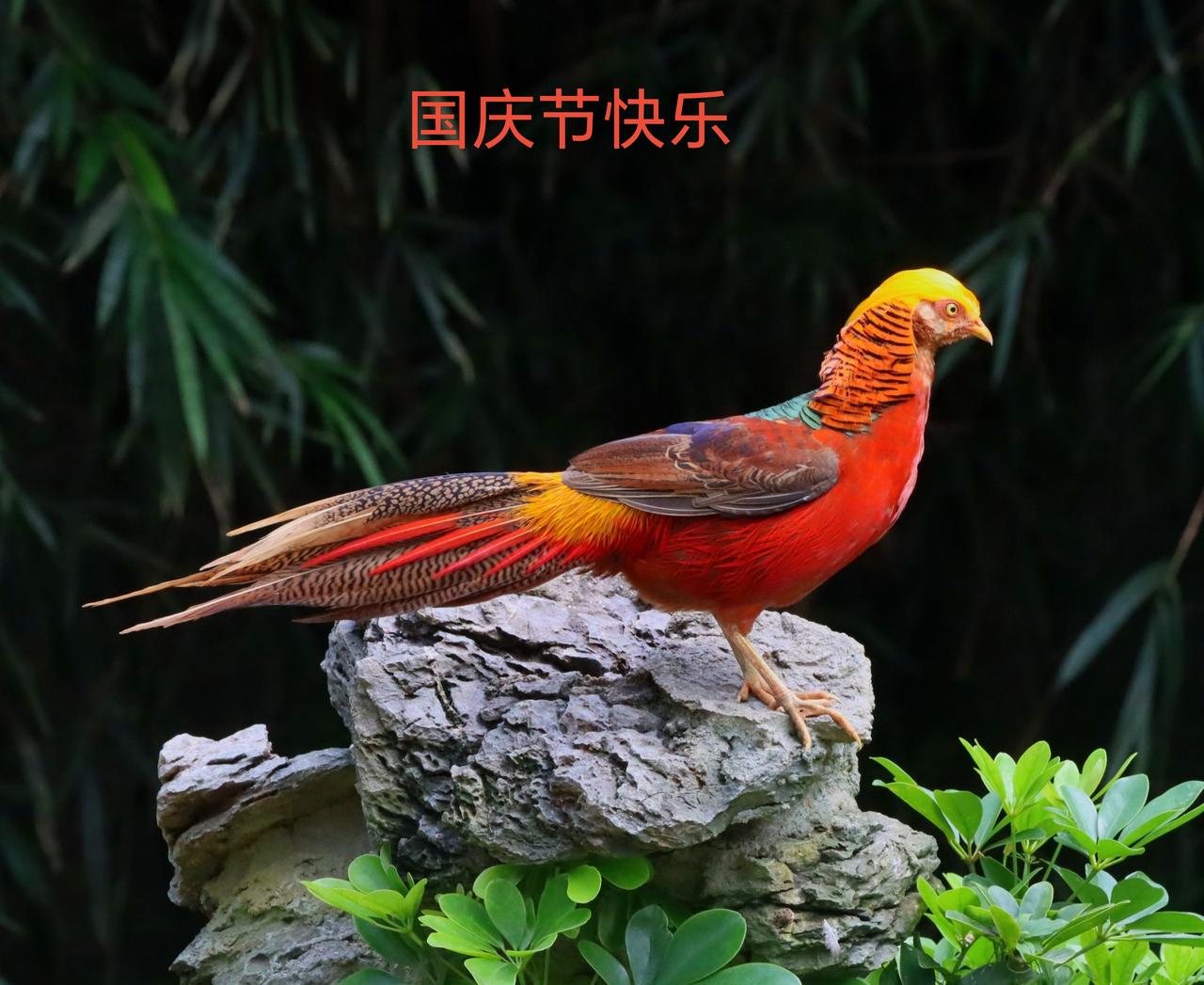 各位老师，国庆节快乐