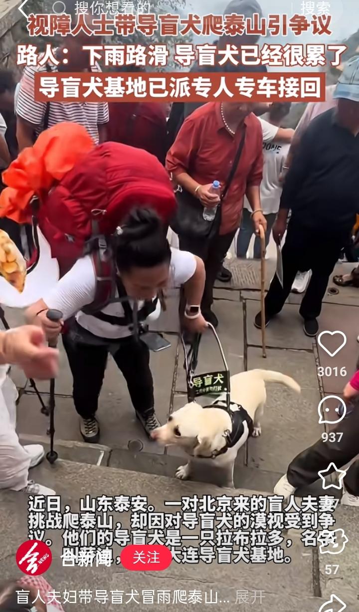 导盲犬基地这波操作真是让人摸不着头脑！残联都明确喊话“停止使用”，可网友爆料芬迪