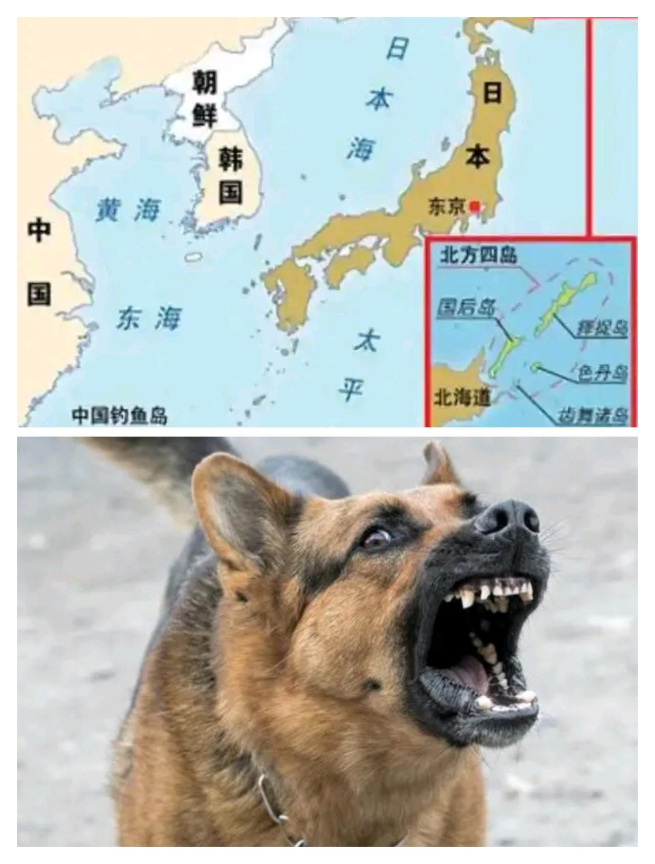 日本赌错了国运，失败是必然的！
按中国发展强大的速度，台湾回归已是板上钉钉，只要