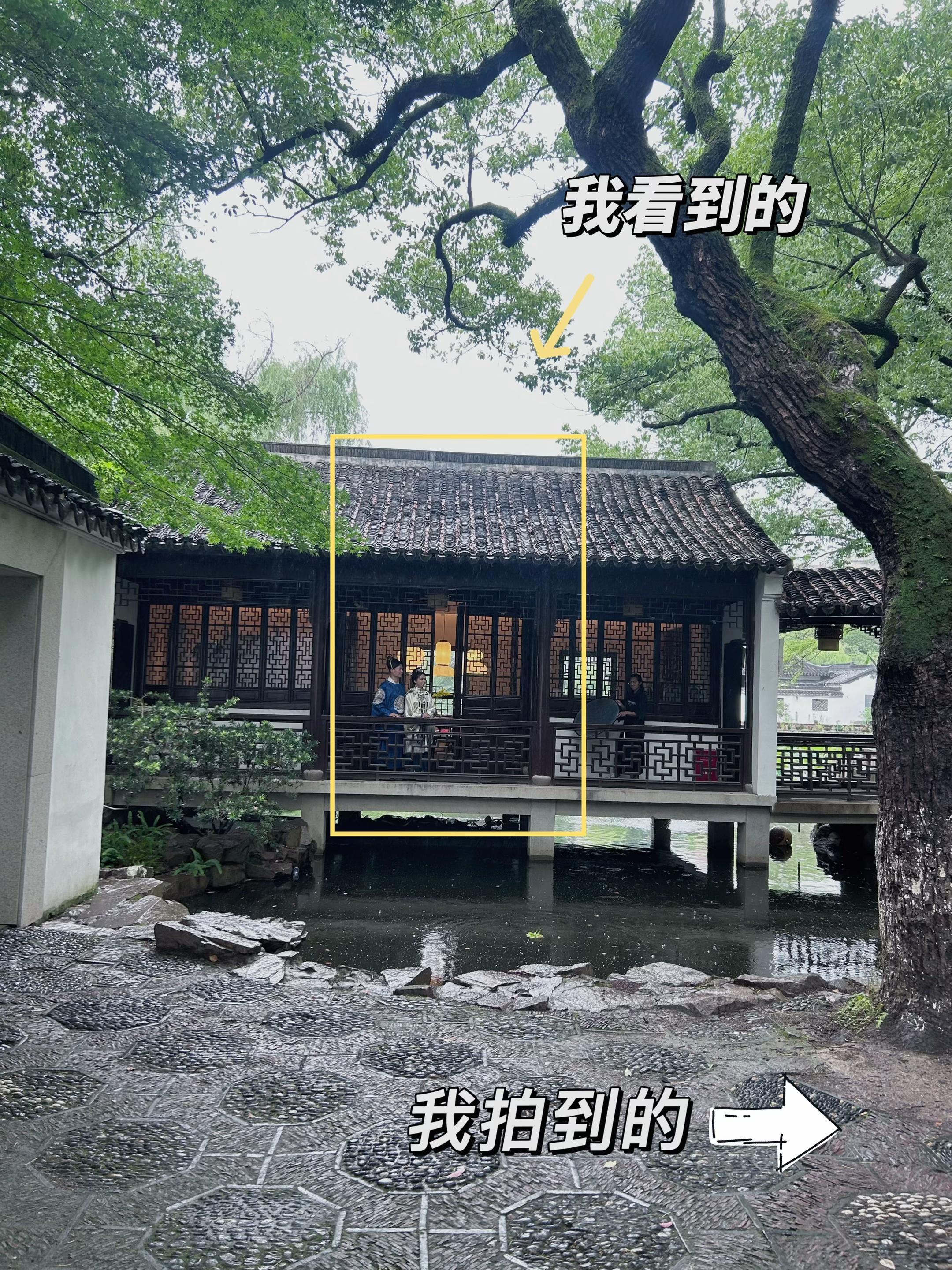 杭州墅园｜我看到的VS我拍到的。