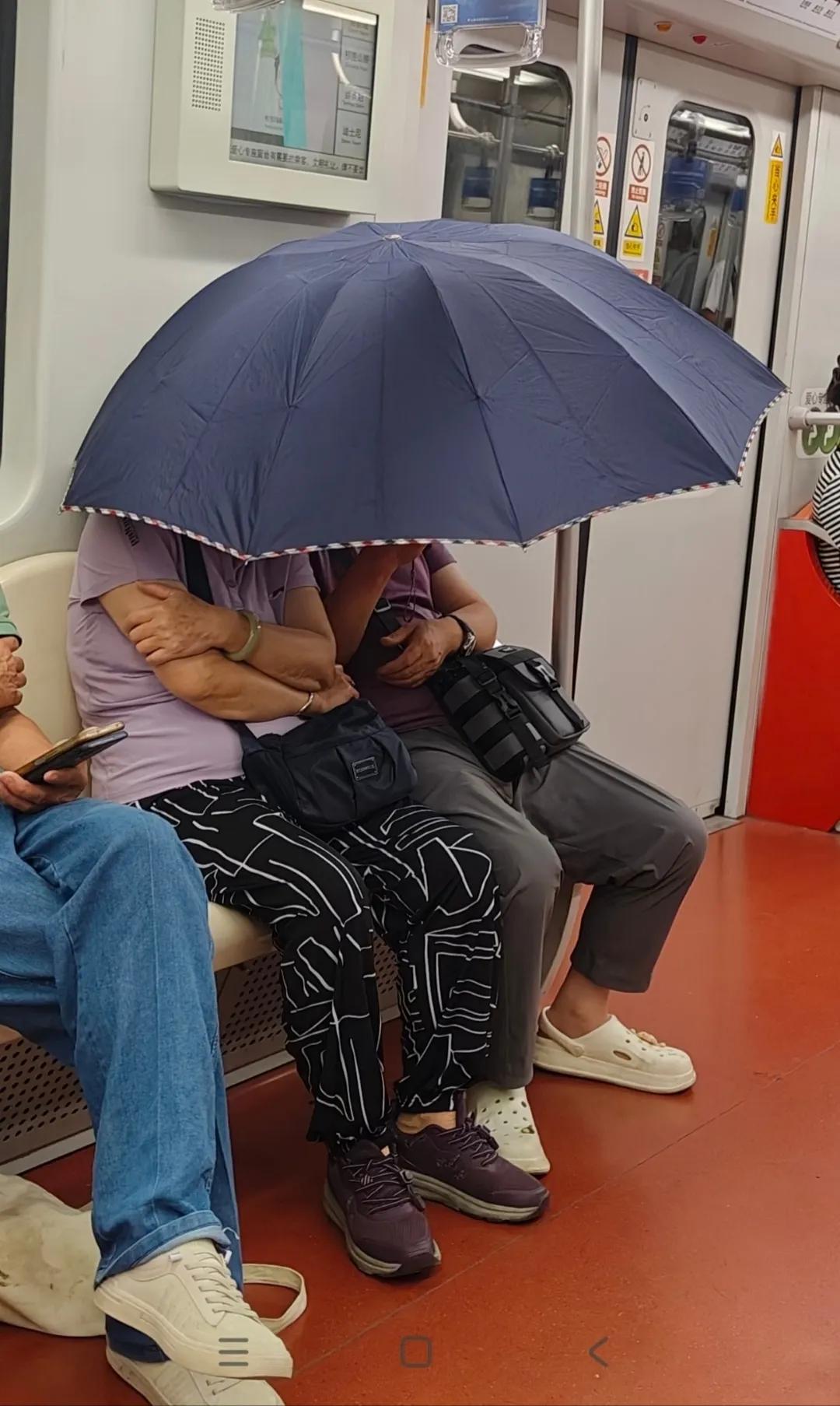 不懂就问，这些人在地铁上都干嘛呢？