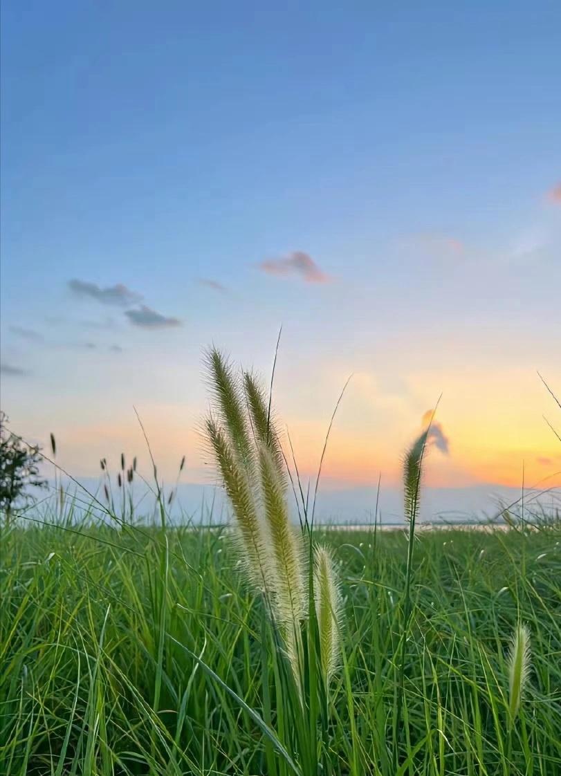 周末户外
有没有成都的jr，推荐一些小众点的地方，周末想出去溜达