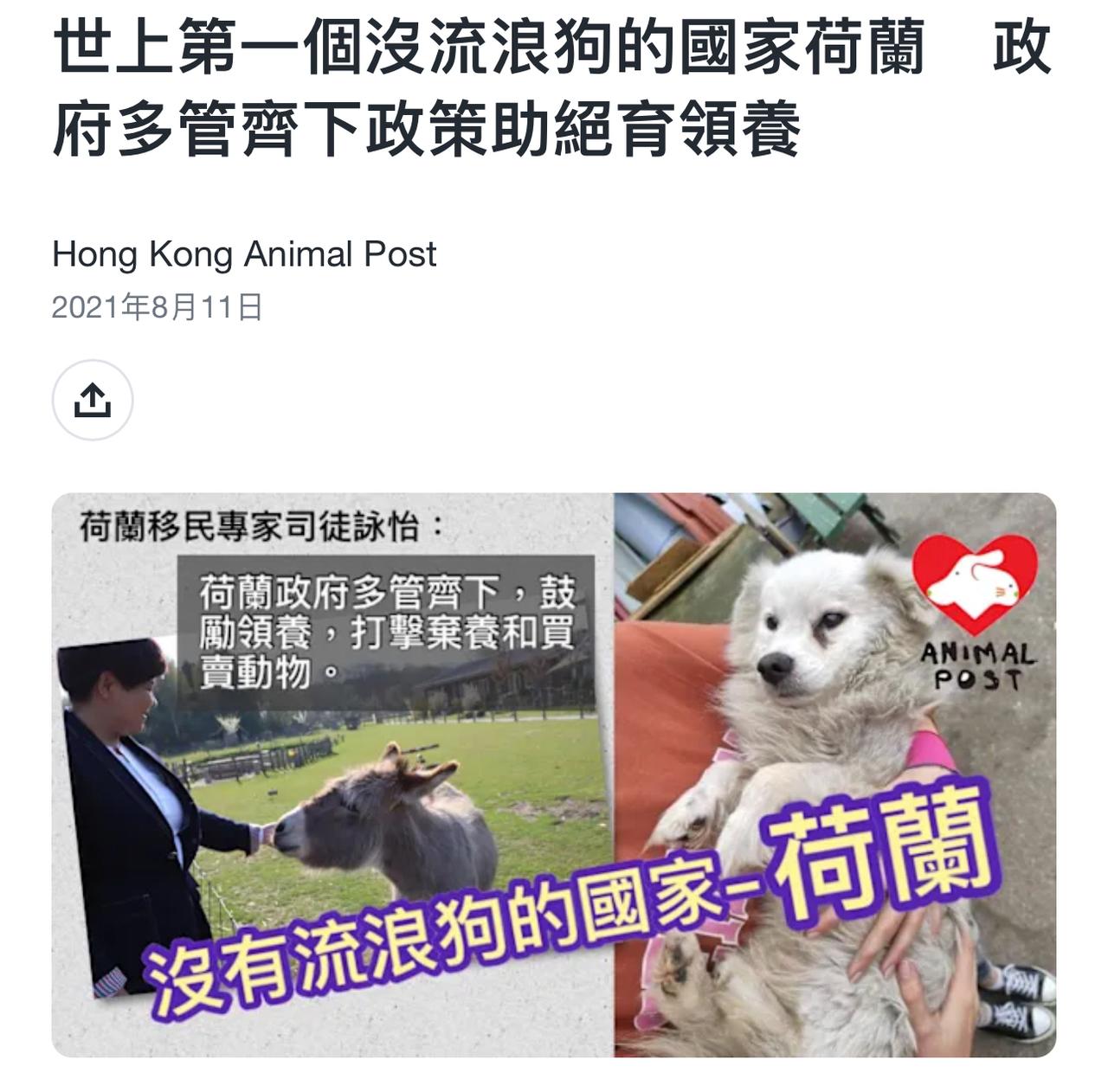【观世界】【世上第一个没流浪狗的国家荷兰　政府多管齐下政策助绝育领养】

当地实