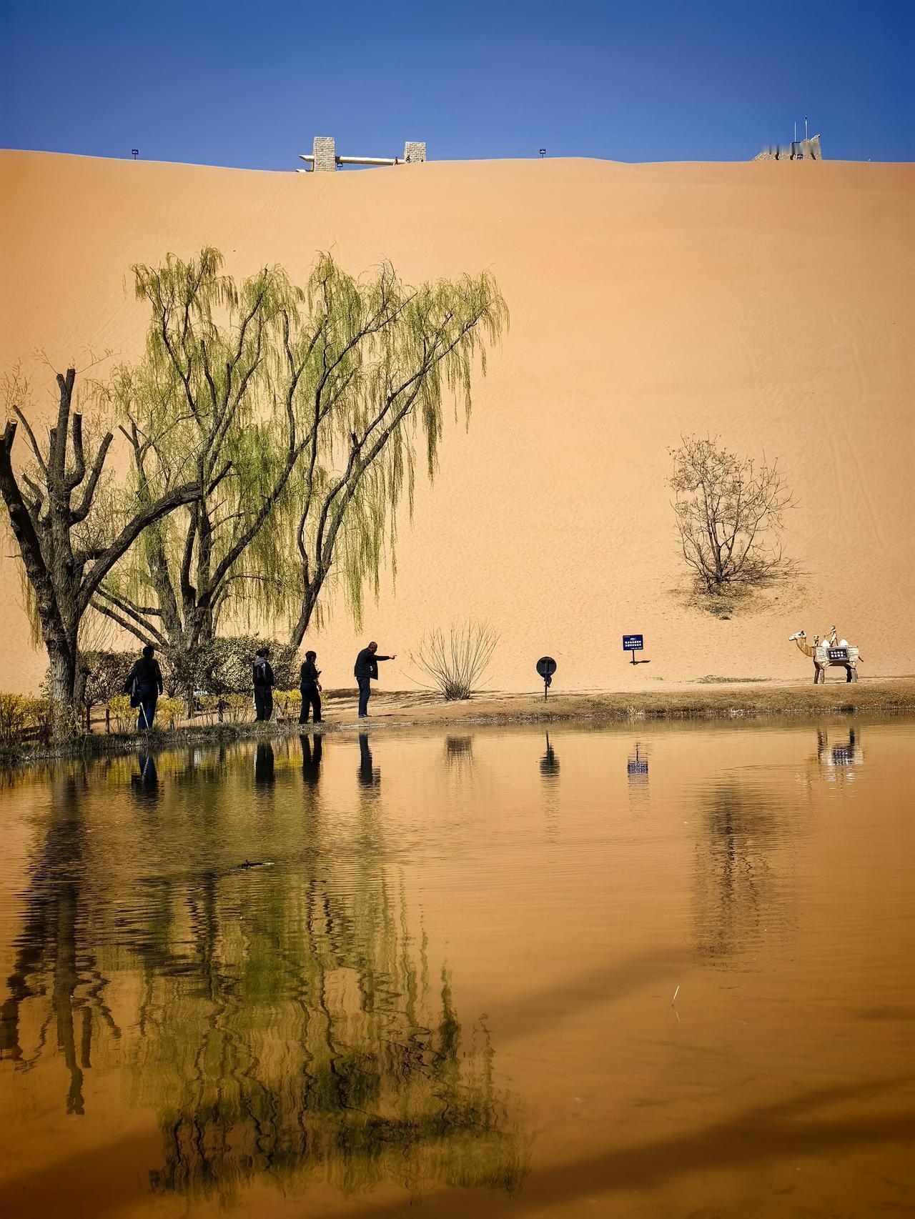 你在塞北，我在江南

老铁去了宁夏，
去看黄河，去望贺兰山，
去赴一场大漠孤烟的