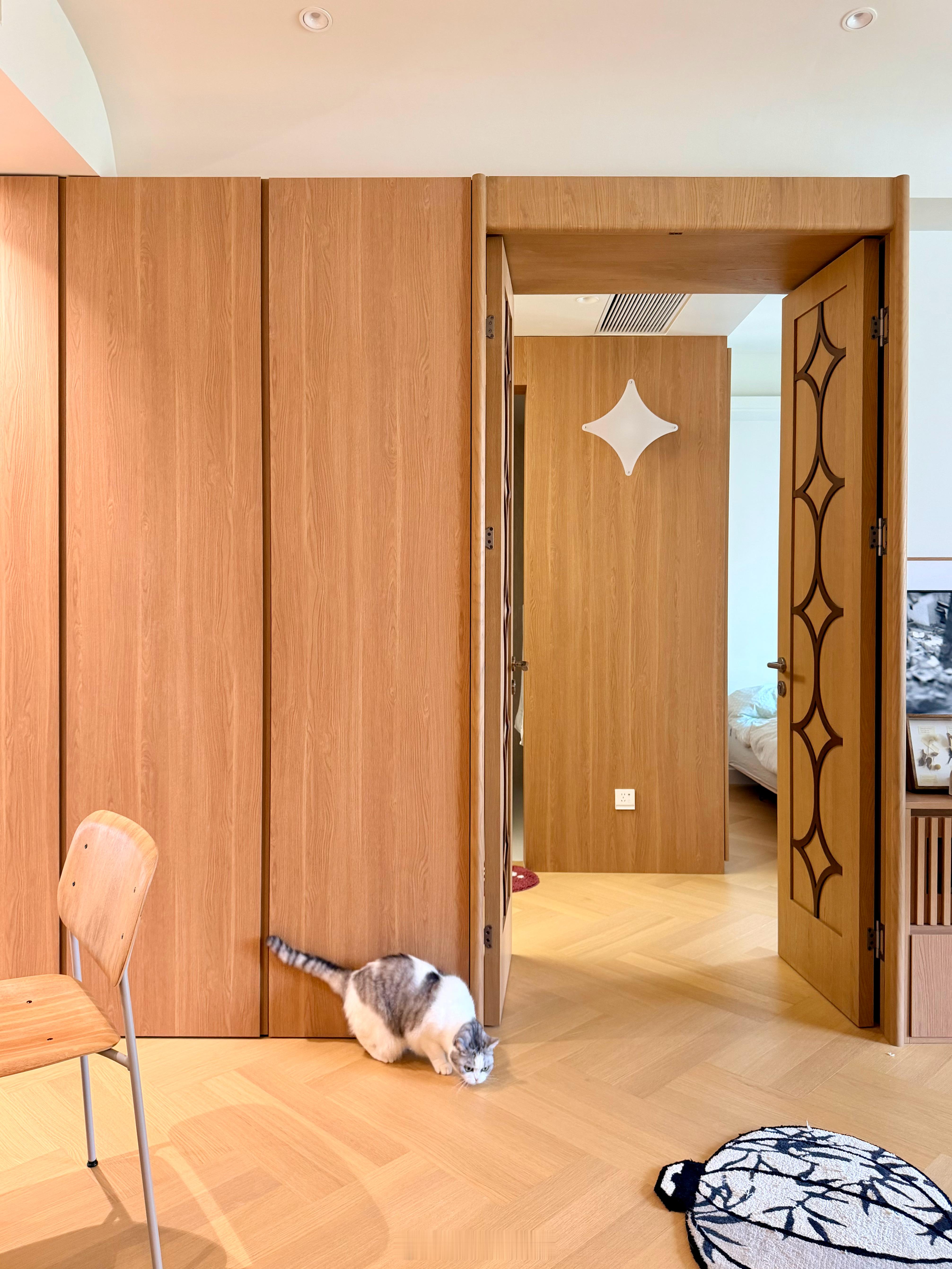 趁着周末好天气去的新家玩啦！🐈终于摸到了桃，看到了花椰菜（孩子太胆小了，遗憾没