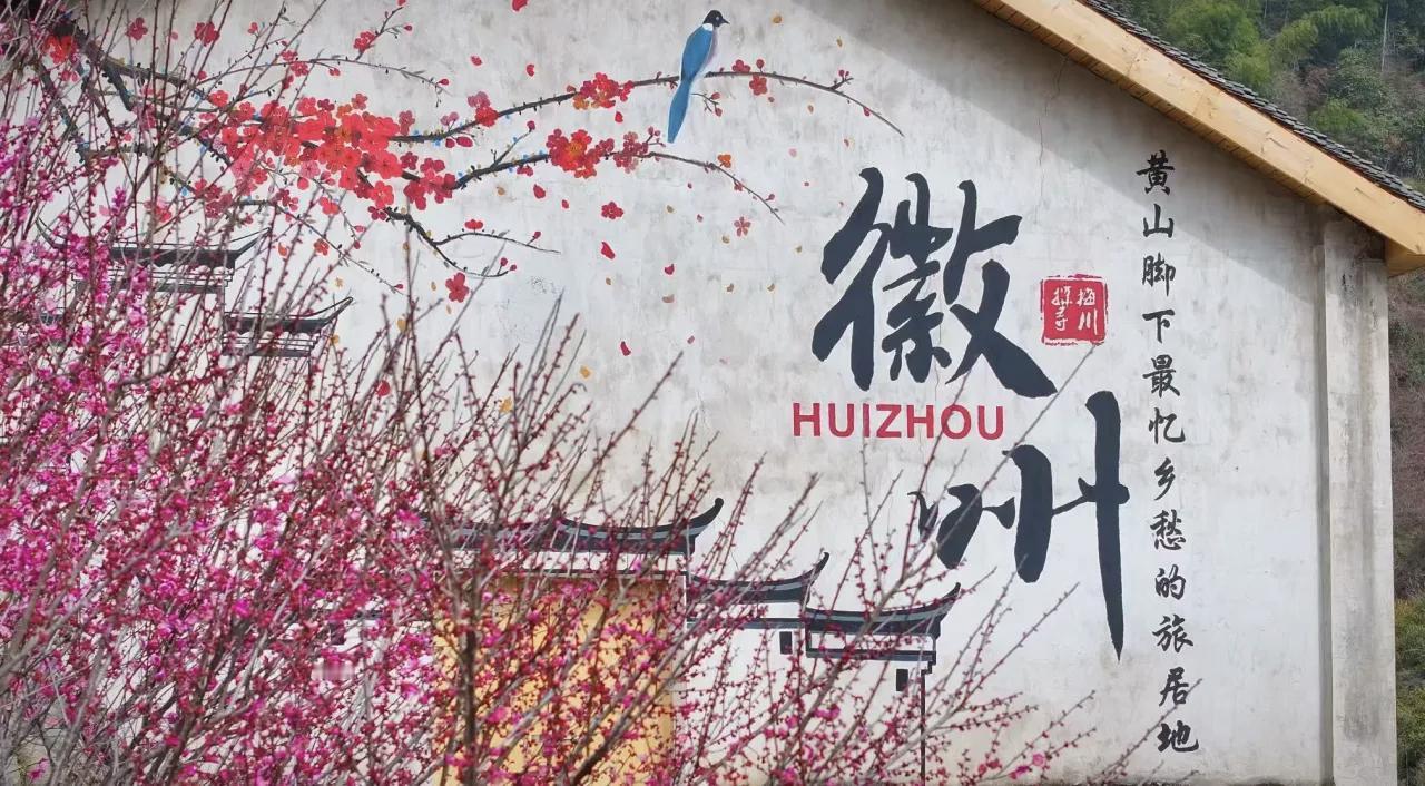 徽州自在时节 | 探梅寻川，寻访山水间的慢时光 | 古徽州 新生活 | 皖美冬日